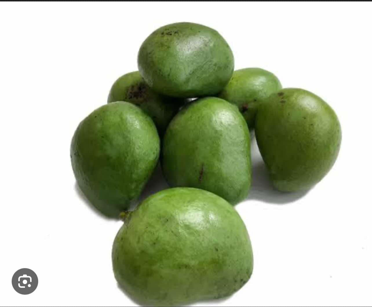 Indian Mango