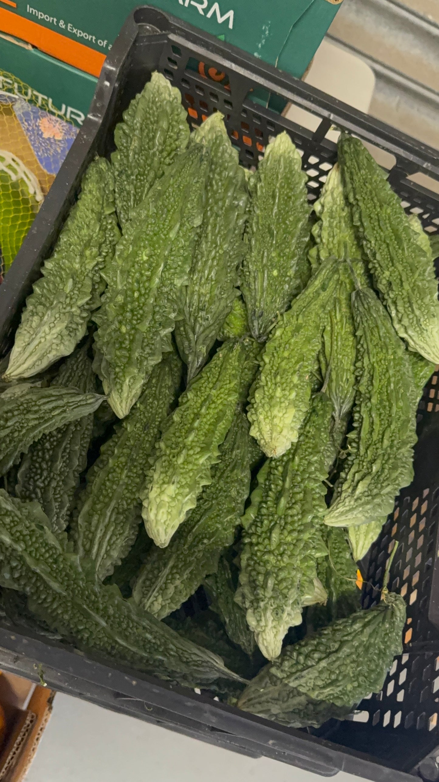 Ampalaya (Bittermelon) 1kg