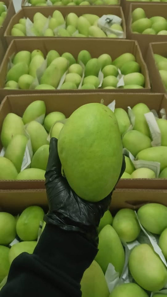 Carabao Mango 1kg