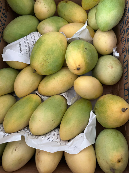 Carabao Mango 3pcs