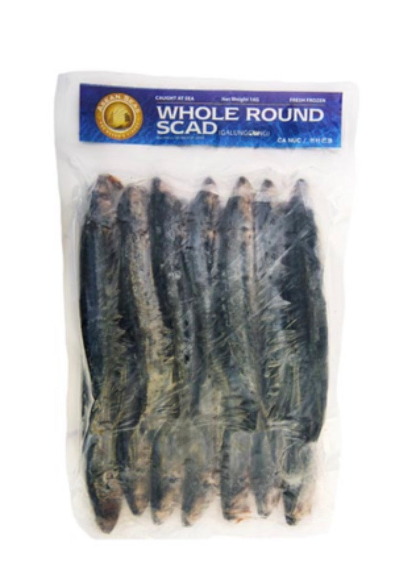 ASEAN Seas Round Scad Galunggong 1kg