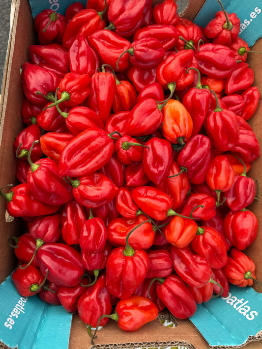 Red Hot Pepper Habanero 150g