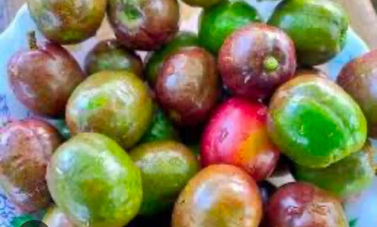 Siniguelas 1kg