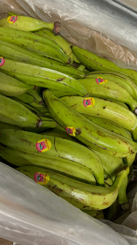Green Plantain