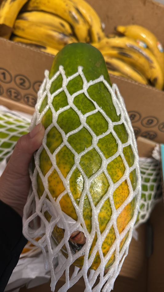 Fresh Papaya Big