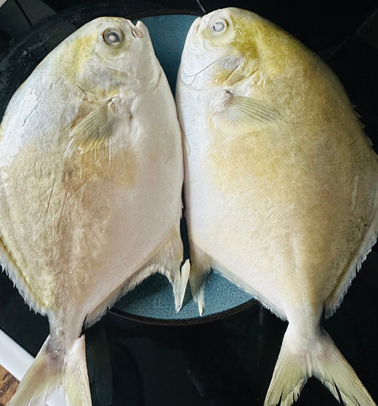 Pampano